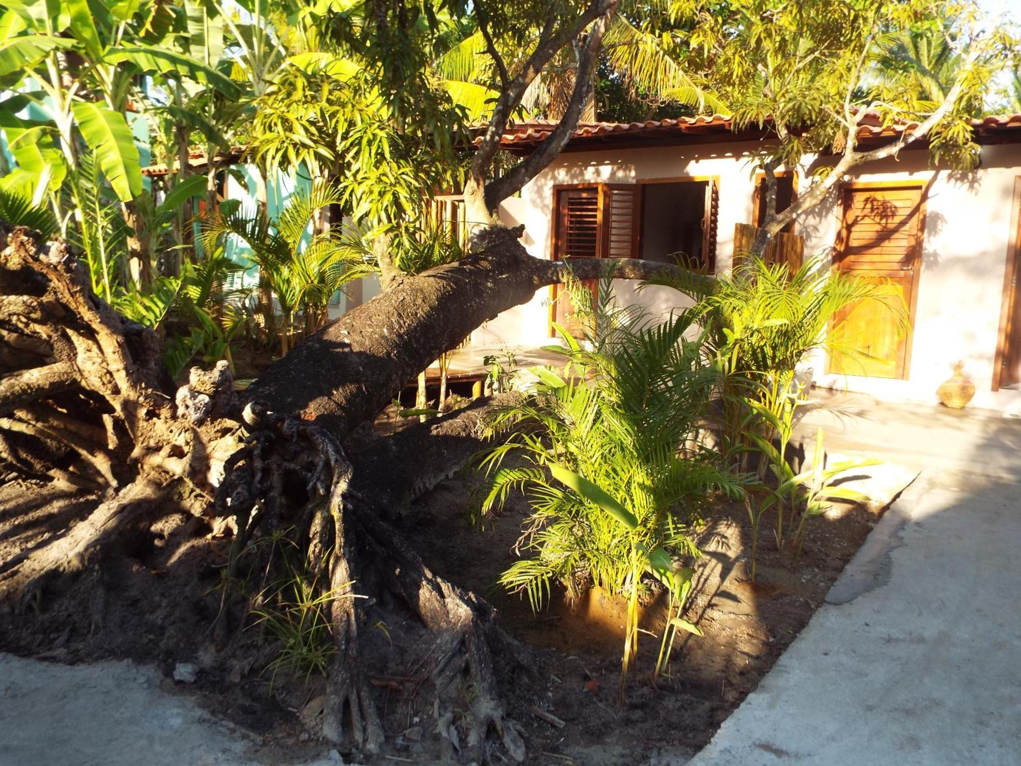 Jardim Uixa Villa Velha Boipeba Luaran gambar